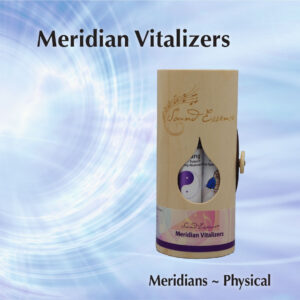 Meridian Vitalizers Set 15ml
