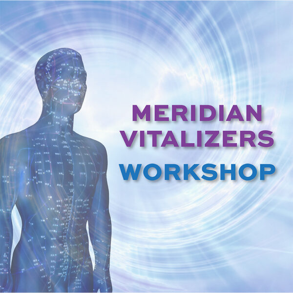 Meridian Vitalizers Workshop